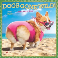 2025 Calendar Avanti Dogs Gone Wild 16-Month Square Wall Browntrout BT79671