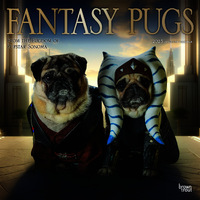 2025 Calendar Fantasy Pugs 16-Month Square Wall Browntrout BT79824