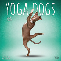 2025 Calendar Yoga Dogs 16-Month Square Wall Browntrout BT79879