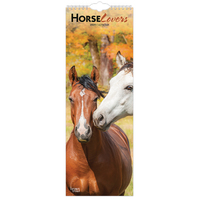 2025 Calendar Horse Lovers Slim Wall Browntrout BT80691