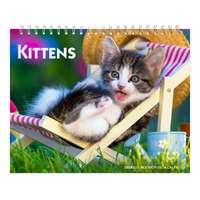 2025 Calendar Kittens Double-View Desk Easel Browntrout BT81629