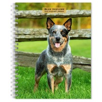 2025 16-Month Planner Blue Heelers Weekly Engagement Browntrout BT83142