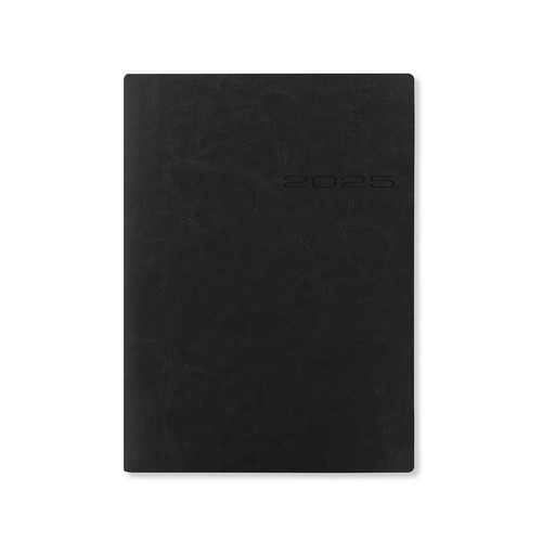 2025 Diary Letts Lecassa A5 Day to Page w/ Appts Black 080410