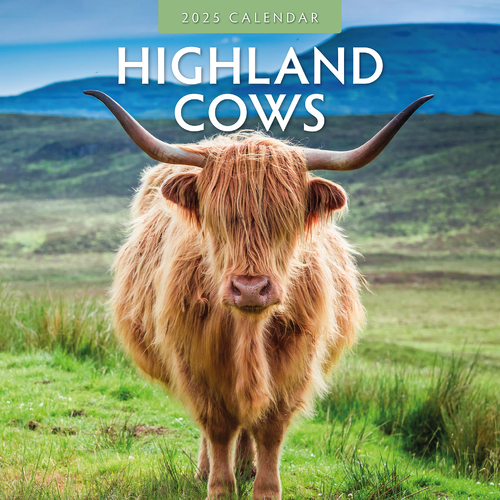 2025 Calendar Highland Cows 16-Month Square Wall Red Robin RR250029