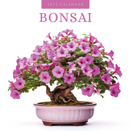 2025 Calendar Bonsai 16-Month Square Wall Red Robin RR250196