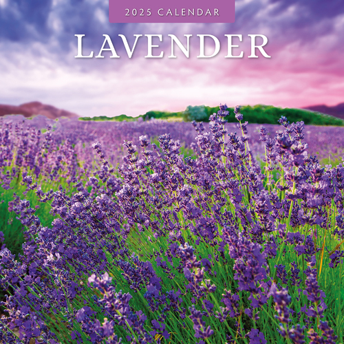 2025 Calendar Lavender 16-Month Square Wall Red Robin RR250205