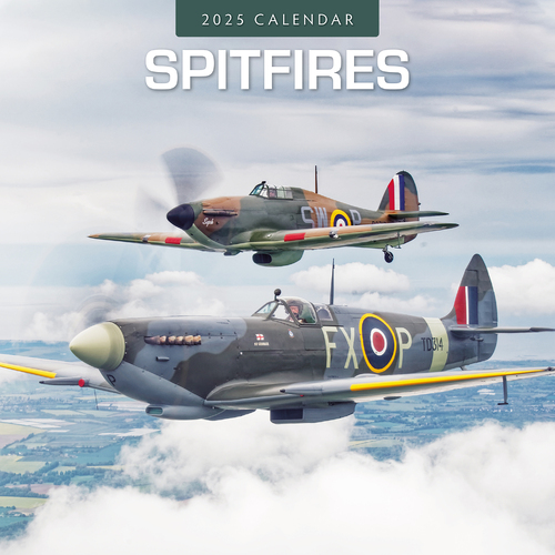 2025 Calendar Spitfires 16-Month Square Wall Red Robin RR250307