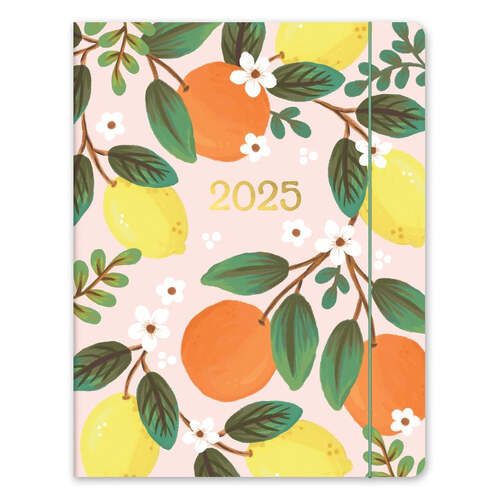 2025 17-Month Planner Just Right Fruit & Flora Weekly/Monthly Orange Circle Studio 25350