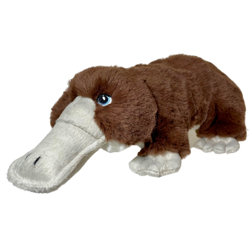 Eco Buddies Plush Platypus 28cm CA Australia ECO00019