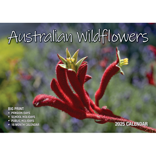 2025 Calendar Big Print Australian Wildflowers Wall Bartel BP523