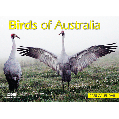 2025 Calendar Prestige Birds of Australia Wall Bartel CA507