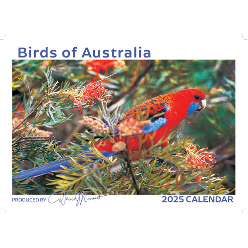 2025 Calendar Birds of Australia Wall David Messent BC