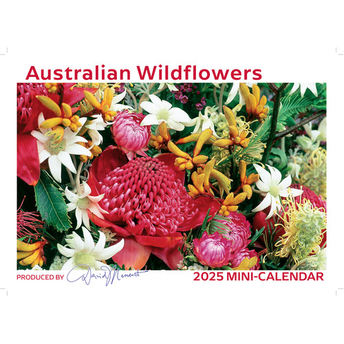 2025 Calendar Australian Wildflowers Mini Wall David Messent MWF