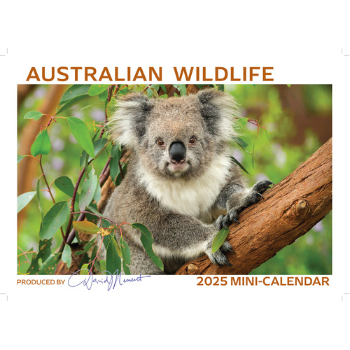 2025 Calendar Australian Wildlife Mini Wall David Messent MWL