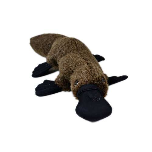 Jumbuck Plush Platypus 32cm CA Australia JUM5626