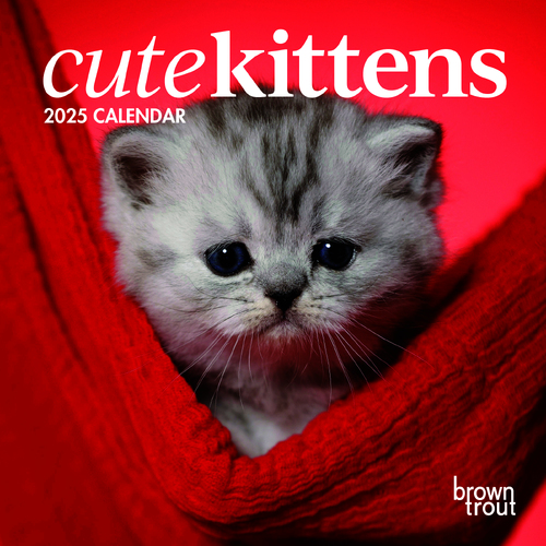 2025 Calendar Cute Kittens Mini Wall Browntrout A04084