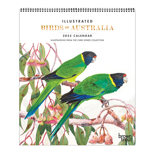 2025 Calendar Illustrated Birds of Australia Deluxe Wall Browntrout A04121