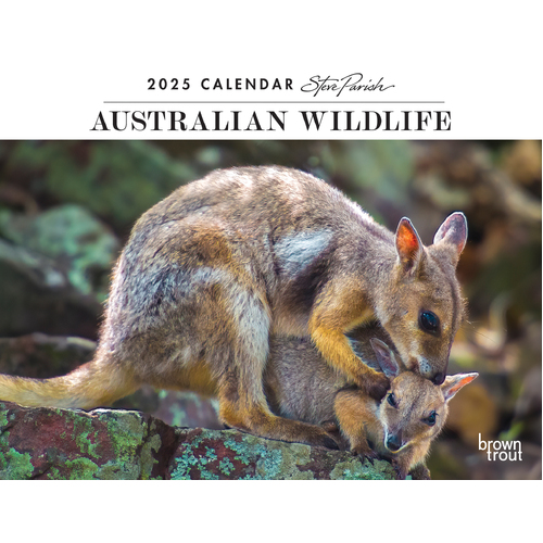 2025 Calendar Steve Parish Australian Wildlife Horizontal Wall Browntrout A04169