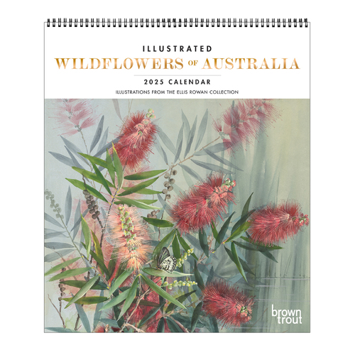 2025 Calendar Illustrated Wildflowers of Australia Deluxe Wall Browntrout A04213