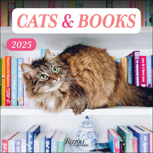 2025 Calendar Cats & Books Square Wall Andrews McMeel AM44748