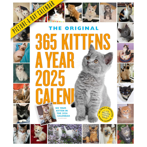 2025 Calendar 365 Kittens-A-Year Picture-A-Day Wall Workman Publishing