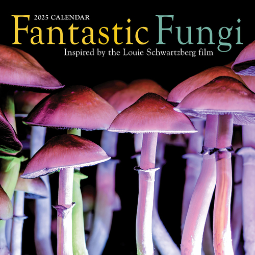 2025 Calendar Fantastic Fungi Square Wall Workman Publishing