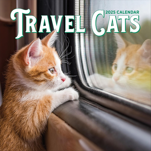 2025 Calendar Travel Cats Square Wall Workman Publishing