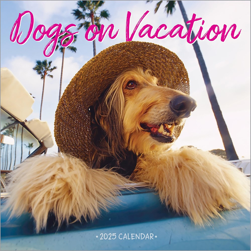 2025 Calendar Dogs on Vacation Square Wall Workman Publishing