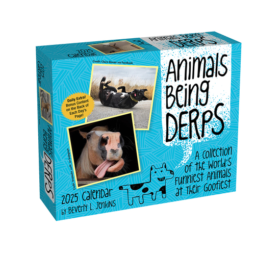 2025 Calendar Animals Being Derps Day-to-Day Boxed Andrews McMeel AM89296