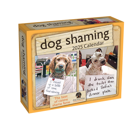 2025 Calendar Dog Shaming Day-to-Day Boxed Andrews McMeel AM90766