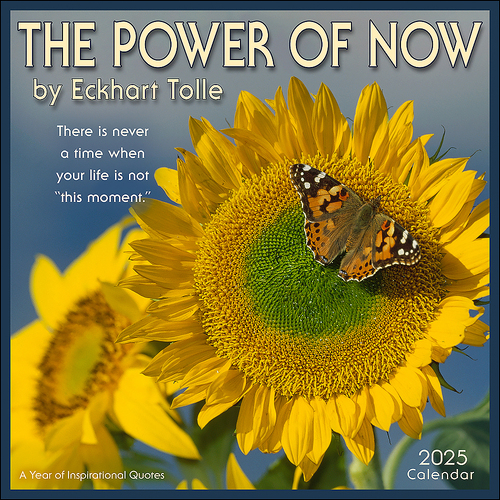 2025 Calendar The Power of Now Square Wall Andrews McMeel AM91138