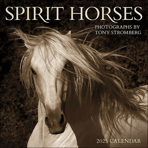 2025 Calendar Spirit Horses by Tony Stromberg Square Wall Andrews McMeel AM91152