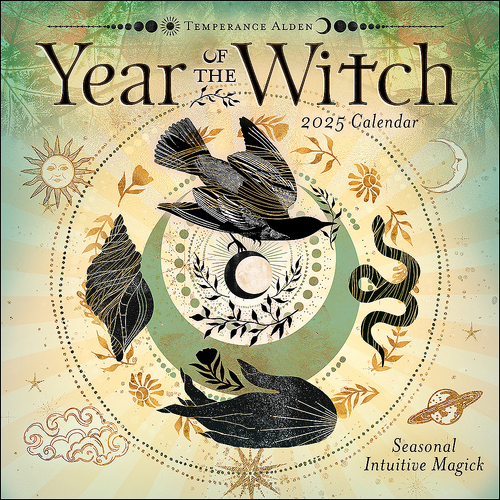 2025 Calendar Year of the Witch Square Wall Andrews McMeel AM91244