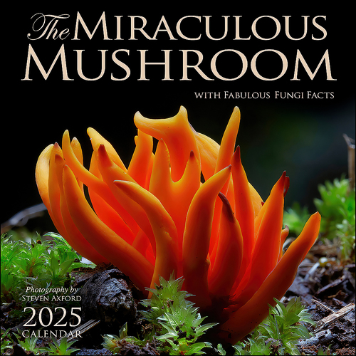 2025 Calendar The Miraculous Mushroom Square Wall Andrews McMeel AM92111