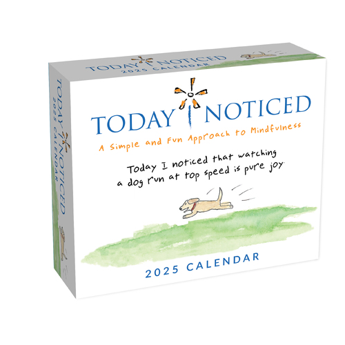 2025 Calendar Today I Noticed Day-to-Day Boxed Andrews McMeel AM92449