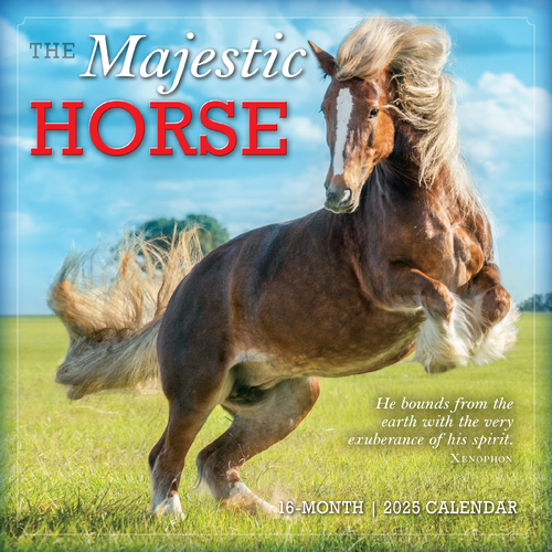 2025 Calendar Majestic Horse 16-Month Square Wall Sellers Publishing S40010