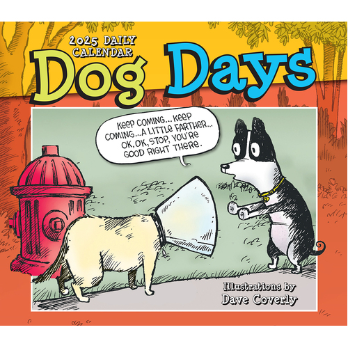 2025 Calendar Dog Days Day-to-Day Boxed Sellers Publishing S40836