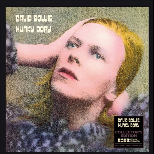 2025 Calendar David Bowie Collector's Ed. Record Sleeve Square Wall Danilo D70479