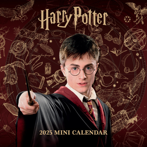 2025 Calendar Harry Potter Official Mini Wall Danilo I71568