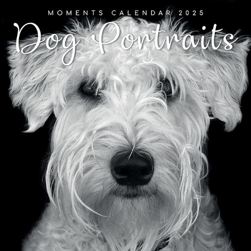 2025 Calendar Dog Portraits 16-Month Square Wall Gifted Stationery GSC25013