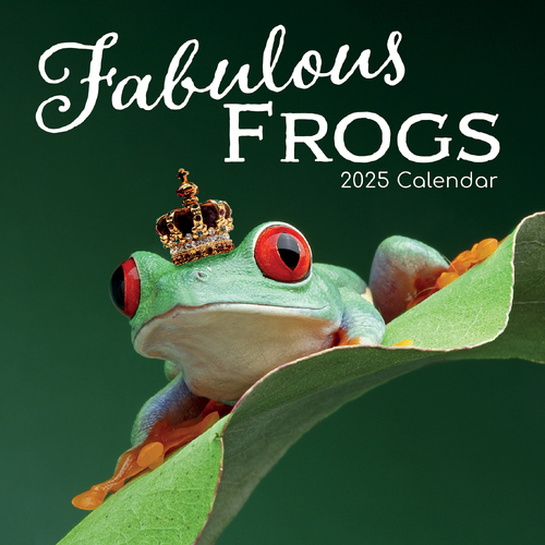 2025 Calendar Fabulous Frogs 16-Month Square Wall Gifted Stationery GSC25030