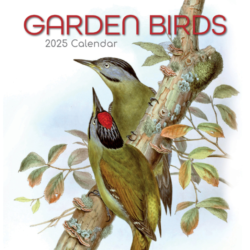 2025 Calendar Garden Birds 16-Month Square Wall Gifted Stationery GSC25044