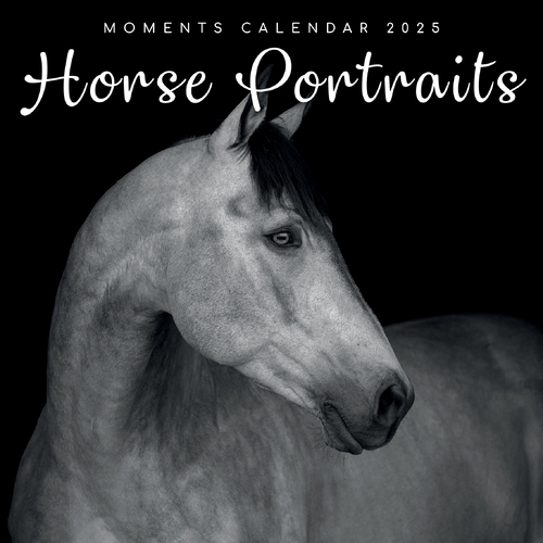 2025 Calendar Horse Portraits 16-Month Square Wall Gifted Stationery GSC25069