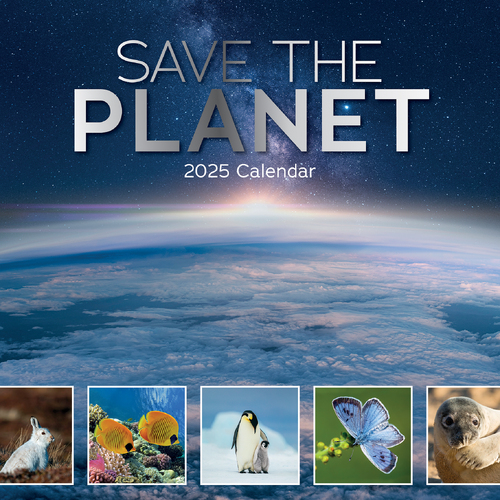 2025 Calendar Save the Planet 16-Month Square Wall Gifted Stationery GSC25180