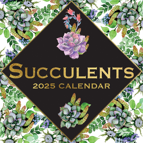 2025 Calendar Succulents 16-Month Square Wall Gifted Stationery GSC25199