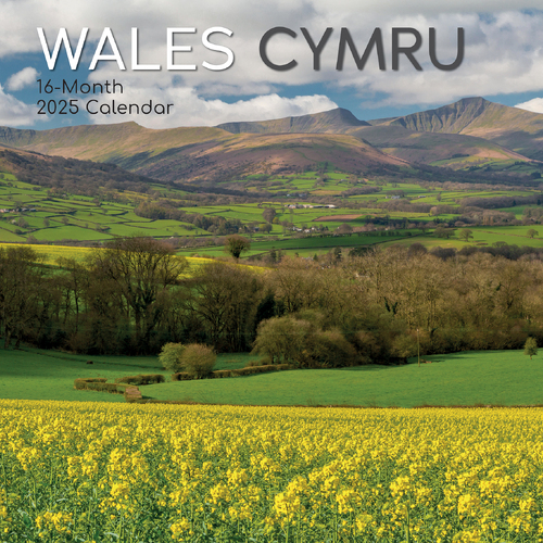 2025 Calendar Wales 16-Month Square Wall Gifted Stationery GSC25236