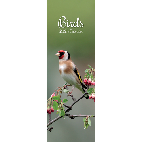 2025 Calendar Birds Slim Wall Gifted Stationery GSC25270