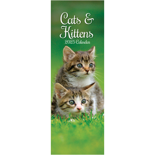 2025 Calendar Cats & Kittens Slim Wall Gifted Stationery GSC25273