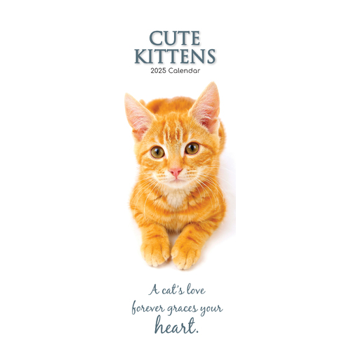 2025 Calendar Cute Kittens Slim Wall Gifted Stationery GSC25276