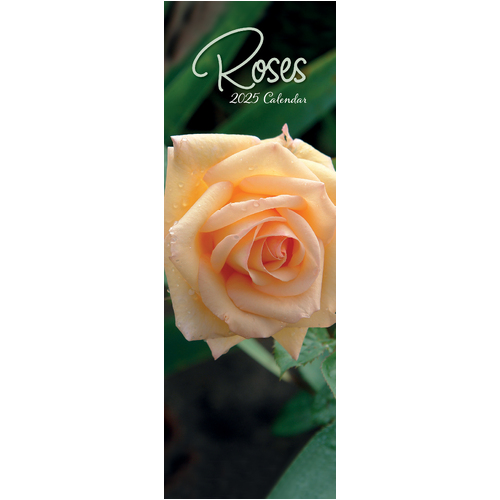 2025 Calendar Roses Slim Wall Gifted Stationery GSC25282